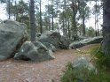 2014-06-05 11-47-55 Foret de Fontainebleau FGn